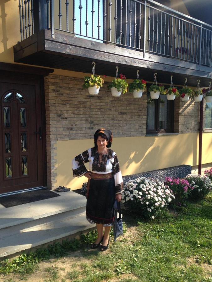 Pensiunea Casa Fierarul Din Bucovina Pensión Vatra Moldoviţei