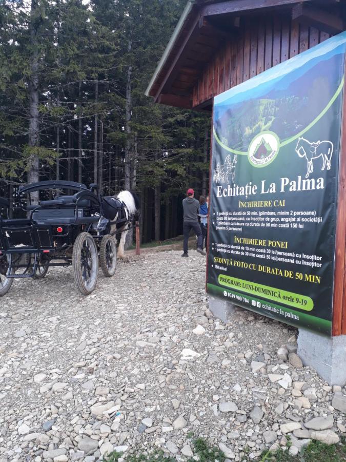 Pensiunea Casa Fierarul Din Bucovina Vatra Moldoviţei