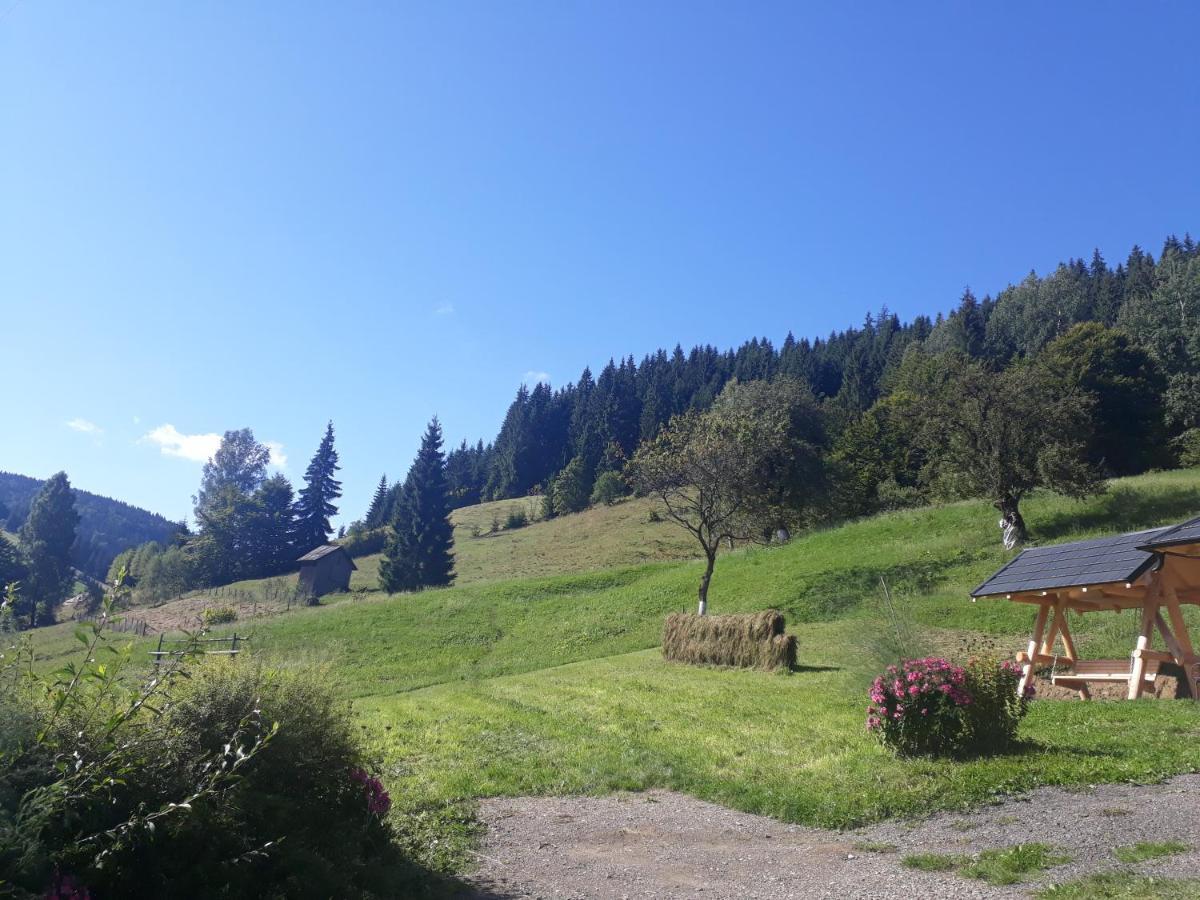 Pensiunea Casa Fierarul Din Bucovina בית הארחה *